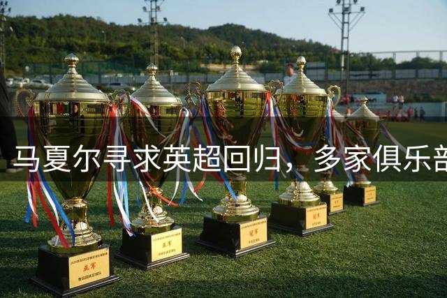 马夏尔寻求英超回归，多家俱乐部关注自由身前锋